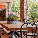 فيلة La Pieve Città della Pieve
